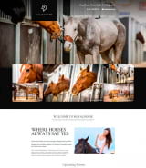 Шаблон сайта конного клуба "Королевские лошади" Wordpress