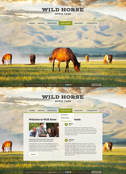"Коневодческая ферма" шаблон сайта конюшни, конных прогулок