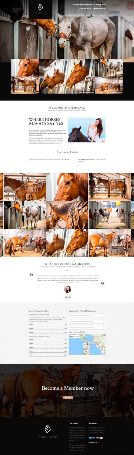 Шаблон сайта конного клуба "Королевские лошади" Wordpress